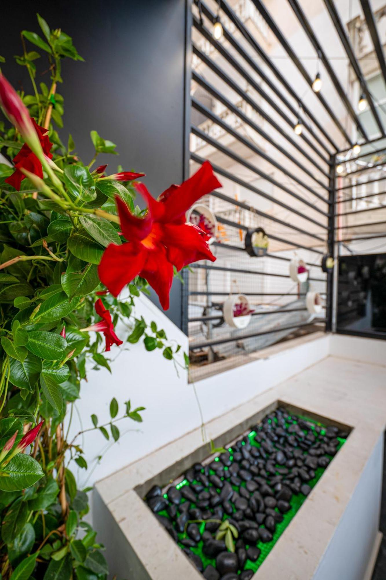 Mato Luxury Apartments Sarande Luaran gambar
