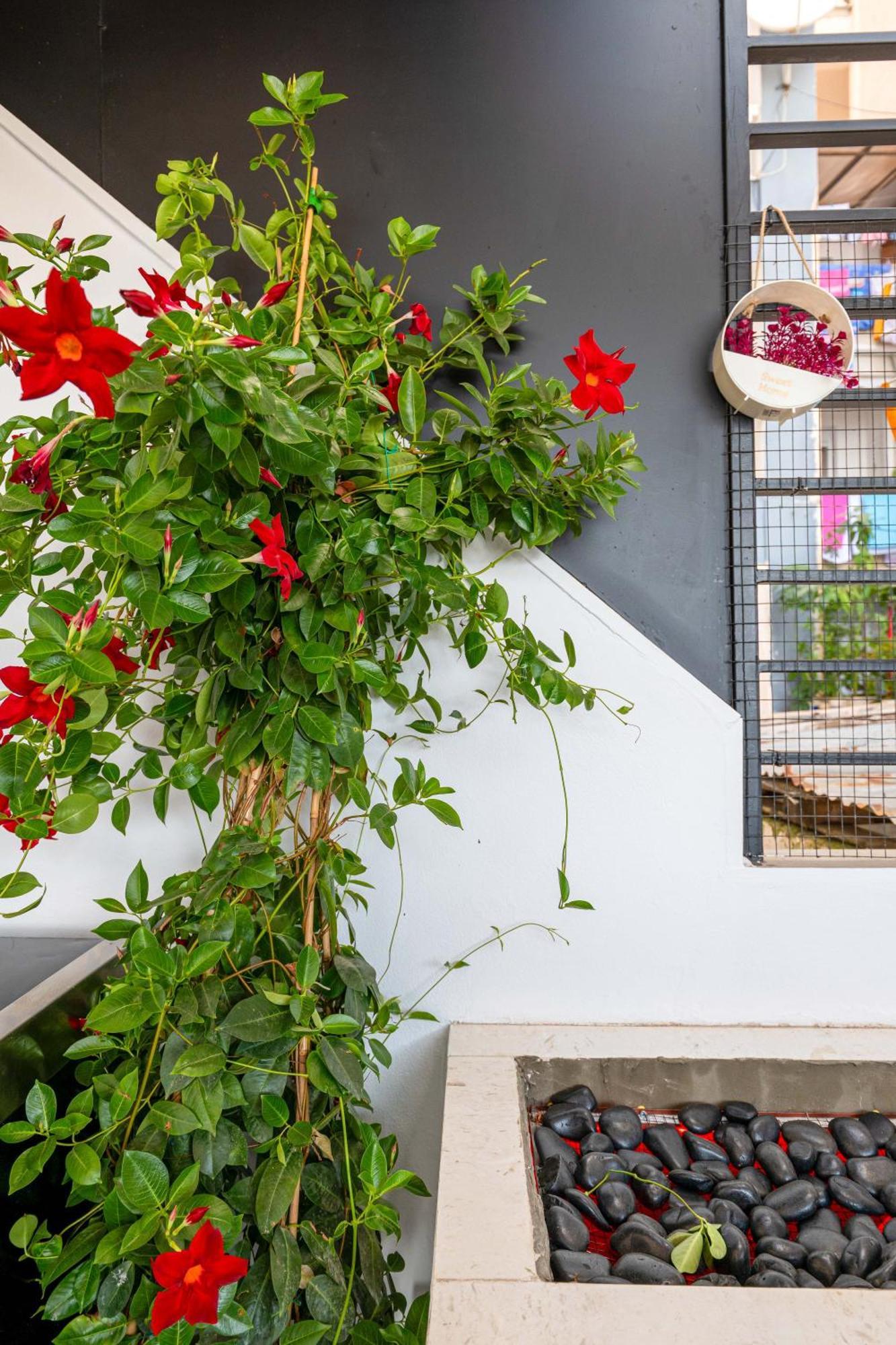 Mato Luxury Apartments Sarande Luaran gambar
